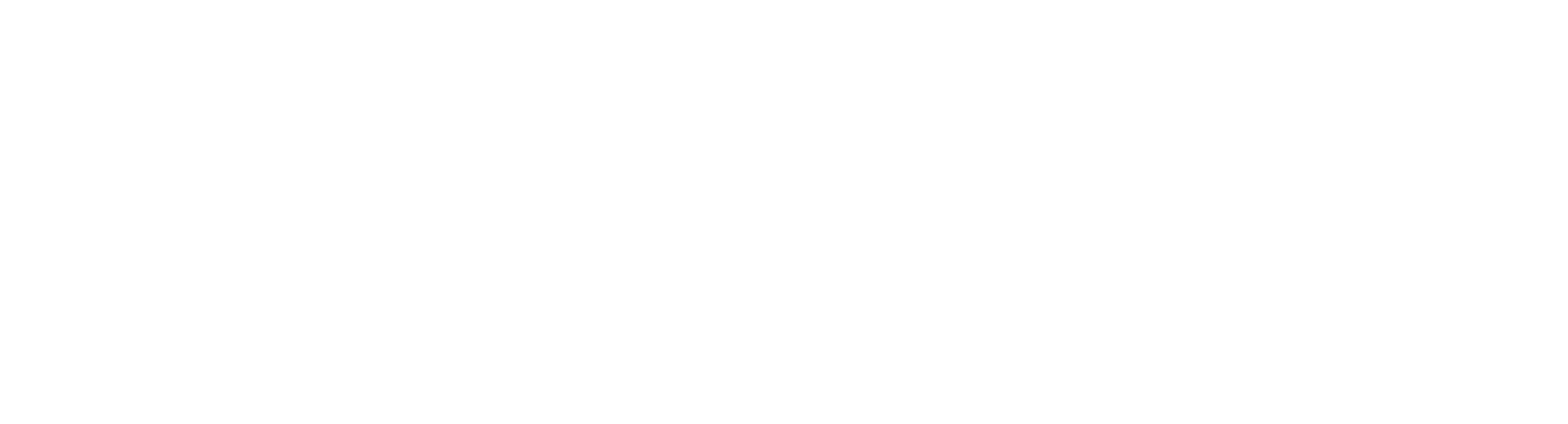 tripsavvy logo